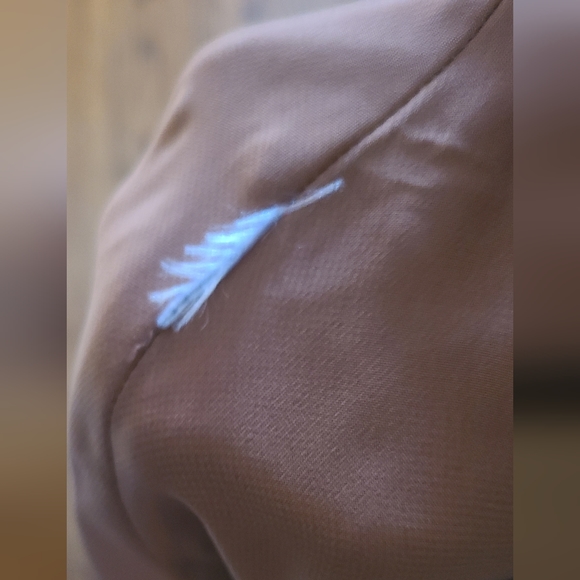 Zara | Brown Pleated Skirt - Picture 4 of 4